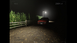 ꡼ No.006 | What Happened to Lily?