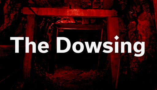 ꡼ No.001Υͥ / 󥰥åɤΤ϶ǤϤʤ;λΥۥ顼TheDowsing / 󥰡סSteamȥڡ