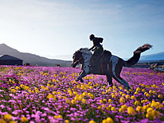 114Υ꡼ǥ꡼ꤷWindstorm: The Legend of KhiimoriפΥץ쥤ǥå󥴥ȤȤͺϤgamescom