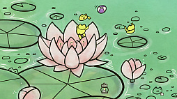 ꡼ No.003 | Find My Frogs