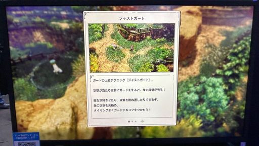 ꡼ No.008 | ȥꥪåȤǯʪפϡǯ2DˤARPGͷǤͤ˻ɤꤽͷݡȤǺܡTGS2025