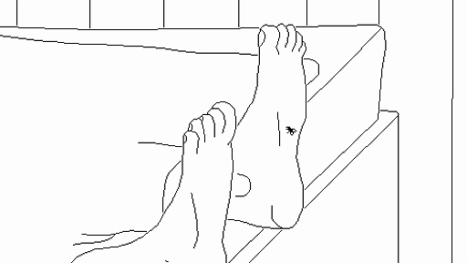 ꡼ No.003 | ϥṳ̂̿ơ䤿ޤ䤦ADVTime FliesסTGS 2025˻ͷŸTGS2025