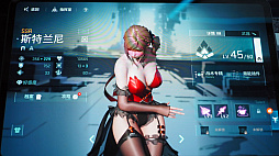 ꡼ No.010Υͥ / ͤʿΥǥʤȥˤˡߥݥݥߥ꥿꡼ǹġWARP KNIGHTSפϥȥåɥCJ2025