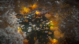 ꡼ No.006 | Dream Garden