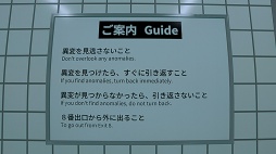 ꡼ No.005 | ˿ǥΤΥҥҥ硼 855֤֤𤬸