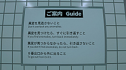 ꡼ No.004 | 8ֽи Nintendo Switch 2 Edition