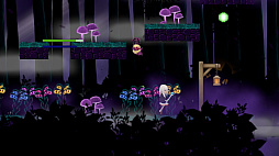 The Light and the Shadow