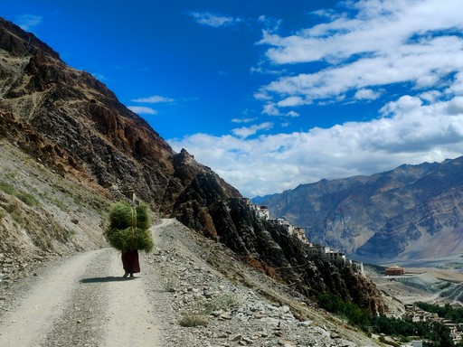 ꡼ No.006 | Υ󥿥ӥ塼ꥮΥХ󥹤ưSLGˤνפԤǤˡƤĿζϫʹ