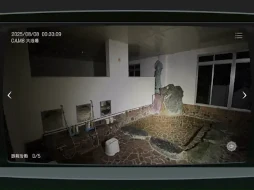 ꡼ No.004 | ܻʪƻ붨 -JSP-