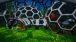 ꡼ No.014 | My Money Grows On Trees