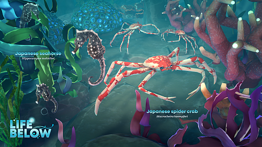 画像ギャラリー No.007のサムネイル画像 / 海洋SLG「Life Below」に登場する日本近海の生きものが決定! 読者投票で選ばれたのは……プレゼント当選者の発表もあります