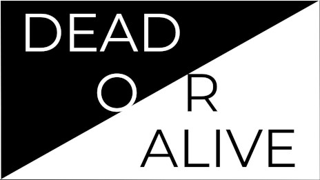 ꡼ No.002 | İФµܤæФܻؤѥ륲Echo MazeסθǤSteamǥ꡼Ǥ11ȯͽ