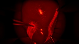 画像ギャラリー No.002のサムネイル画像 / 3つのドアのうち,1つが死へとつながっている。一人称視点の脱出ホラーゲーム「Door(2/3)¹³」,Steamで配信開始