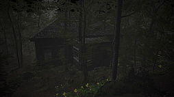 The Overnight Screening