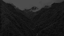 ꡼ No.043 | ꡼ץΤΥХХۥ顼ADV̷ʤĤΤˡסSwitchʤȤ2026ǯ129ȯ