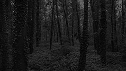 ꡼ No.045 | ꡼ץΤΥХХۥ顼ADV̷ʤĤΤˡסSwitchʤȤ2026ǯ129ȯ