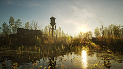 Forest Doesn��t Care