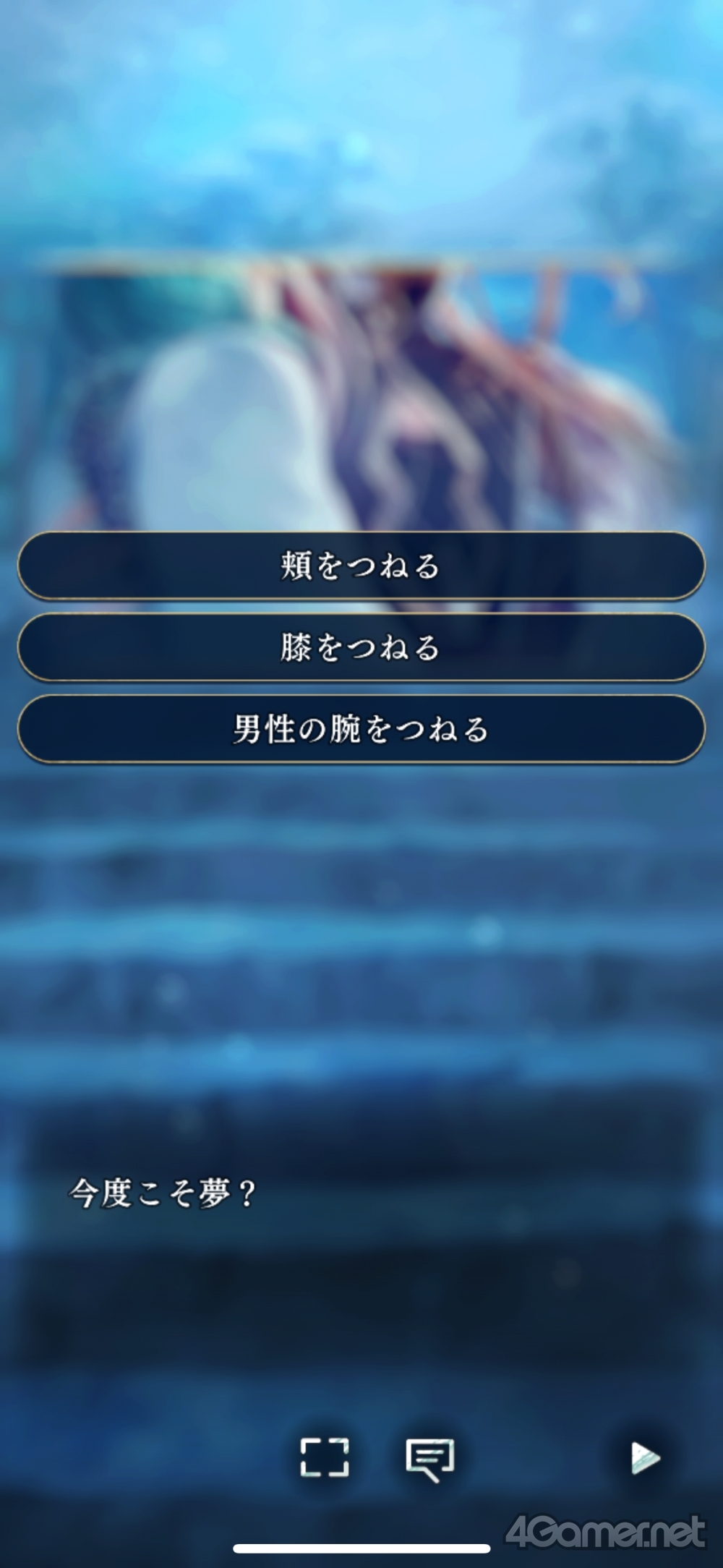 ꡼ No.004 | Υץ쥤ݡϥ꡼ǿʤ ζܤοҡסȬդȤδطŤź̤ʻ֤θ