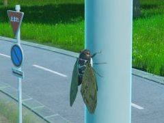 ץ쥤䡼ϥߡļˤβƤ˥ߤΰ֥ߤϤɤ뤫ס930Steamǥ꡼