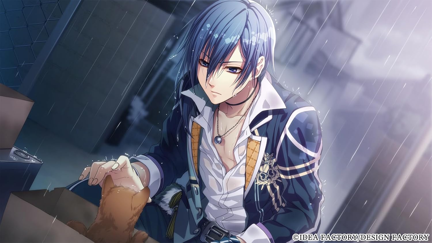 ꡼ No.004 | Nintendo Switch Glass Heart Princess for Nintendo Switch