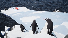 ꡼ No.007 | 鷺ʥߥǼ֤ȯ2Ͷ֥Parking Together!ס918Steamǥ꡼