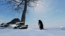 ꡼ No.007 | Parking Together!