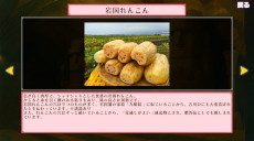 ꡼ No.005 | ԤΥѥ륲IWAKUNI QUESTס925̵ۿꡣֶӶפִפˡ饯Ȥβäڤ