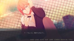 ꡼ No.005 | Ǥ椯˲«Bouquet for you in the dark