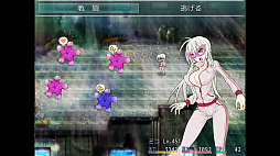 ꡼ No.006 | TAIMA MIKO