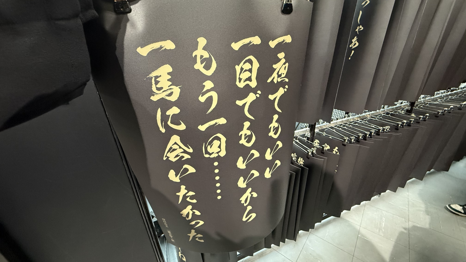 ꡼ No.005 | ζǡ״Ÿݡȡ뺧򵷡֤魯ġĿΥɥޤơޤˡζǡפ餷̣廊