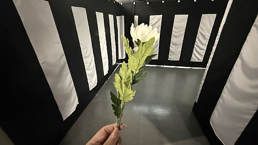 ���������꡼ No.016�Υ���ͥ������ / ��ζ��ǡ���״������Ÿ��ݡ��ȡ��뺧���򵷡�������֤��魯�ġĿ����Υɥ�ޤ�ơ��ޤˡ�ζ��ǡ���פ餷����̣�廊��