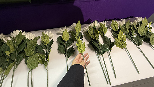 ���������꡼ No.017�Υ���ͥ������ / ��ζ��ǡ���״������Ÿ��ݡ��ȡ��뺧���򵷡�������֤��魯�ġĿ����Υɥ�ޤ�ơ��ޤˡ�ζ��ǡ���פ餷����̣�廊��