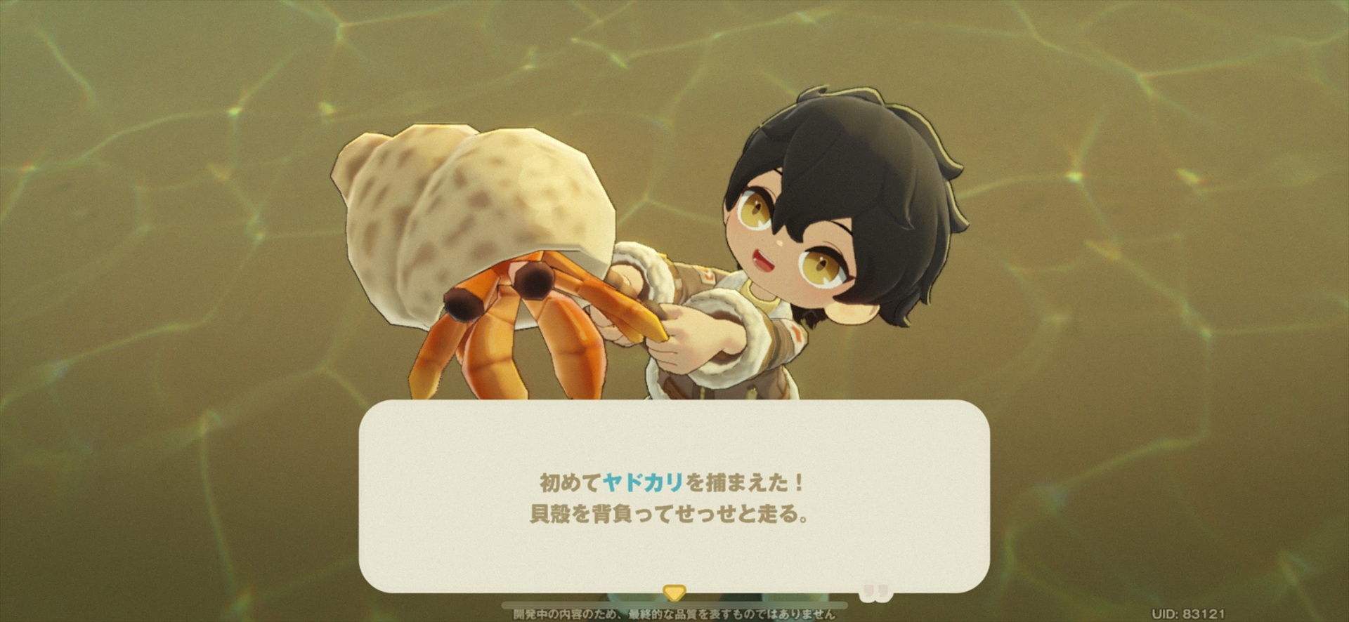 ꡼ No.023 | Υץ쥤ݡޤ뤴ȥʥ롪 HoYoverseο饤ե֥ץץͥåȡצ¥ƥȤ˻äƤߤ