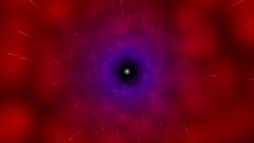 Cucina Stellata ✦ Starred Cuisine