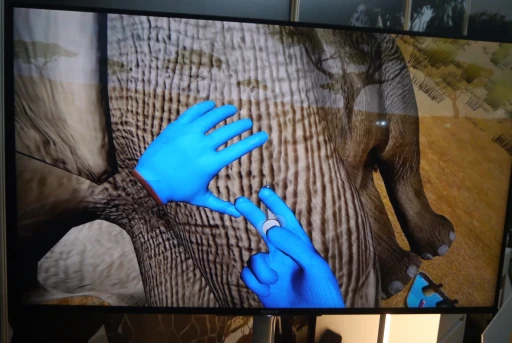 ꡼ No.006 | ĤưʪŤVRWILDLIFE DOCTORפǥץ쥤ȴ¥פߺTGS2025