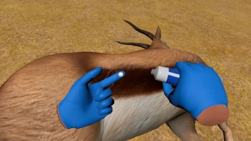 ꡼ No.007 | ĤưʪŤVRWILDLIFE DOCTORפǥץ쥤ȴ¥פߺTGS2025