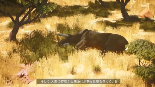 ꡼ No.011 | ĤưʪŤVRWILDLIFE DOCTORפǥץ쥤ȴ¥פߺTGS2025