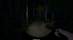 The Greys: Human Abductions