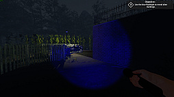 The Greys: Human Abductions