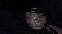 The Greys: Human Abductions