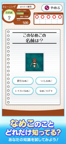 ꡼ No.001 | ֤ʤᤳɥס꡼֤ʤᤳݥåȡץ꡼о줹롤ʤᤳ˴ؤ򤳤