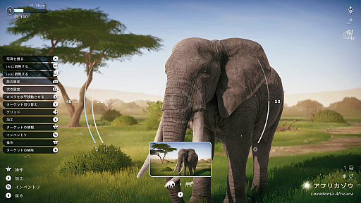 画像ギャラリー No.014のサムネイル画像 / サバンナの風を感じながらただシャッターを切る。野生動物撮影シム「Seclusa」(ほぼ日 インディーPick Up!)