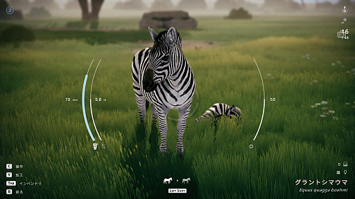 画像ギャラリー No.017のサムネイル画像 / サバンナの風を感じながらただシャッターを切る。野生動物撮影シム「Seclusa」(ほぼ日 インディーPick Up!)