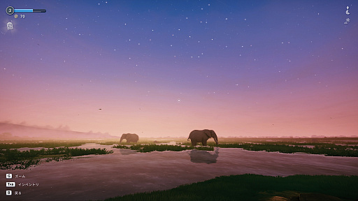 画像ギャラリー No.025のサムネイル画像 / サバンナの風を感じながらただシャッターを切る。野生動物撮影シム「Seclusa」(ほぼ日 インディーPick Up!)