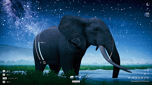 画像ギャラリー No.027のサムネイル画像 / サバンナの風を感じながらただシャッターを切る。野生動物撮影シム「Seclusa」(ほぼ日 インディーPick Up!)