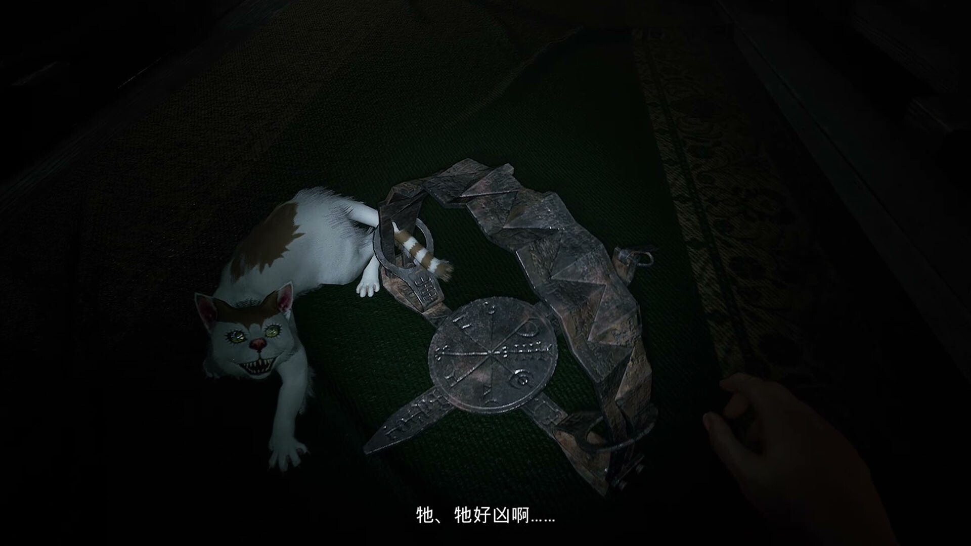 ꡼ No.012 | ְƣإޥ˥å١̤Ƥʤ꡼ΤʤĦٹʤɤʤߤΥ饯о