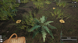 Mushroom Hunter World