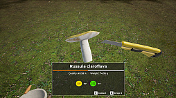 Mushroom Hunter World