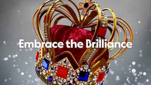 ꡼ No.014 | Хåƥ󥰥Embrace the BrillianceסSteamǥ꡼ץʥ󥰤񸷤ʲޤǡХ饨ƥ˭ʤ