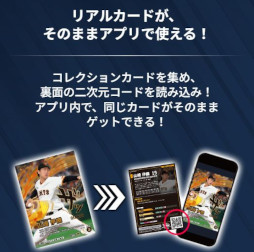 ꡼ No.016 | ֥ץ ե󥹥꡼סɦ¥ƥȤλüԤ罸档ꥢȥǥ뤬Ϣưץ祫ɥ